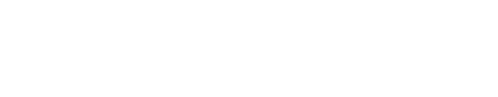 Bolsover Partnersip
